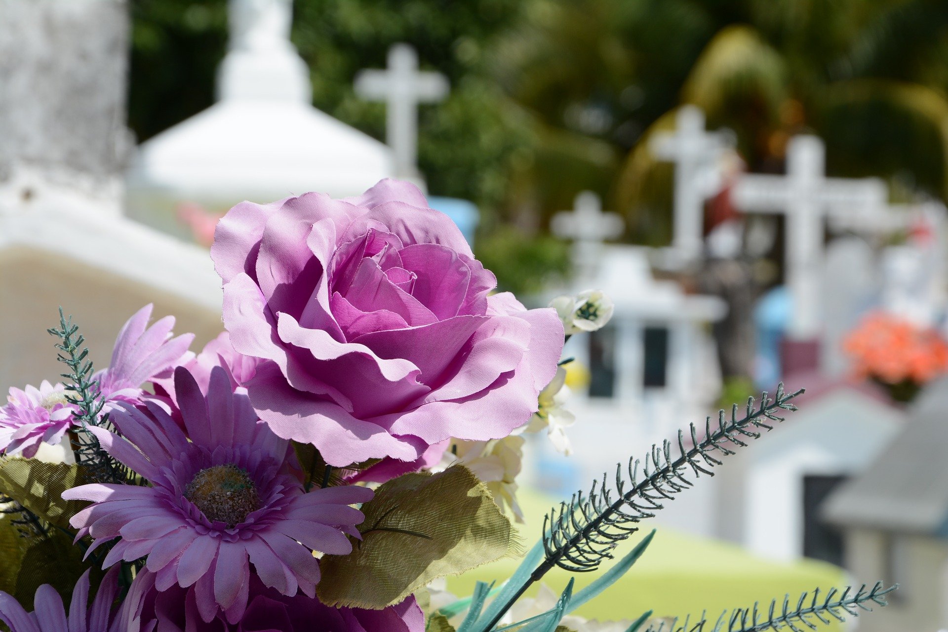 cmentarz kwiaty na grobie